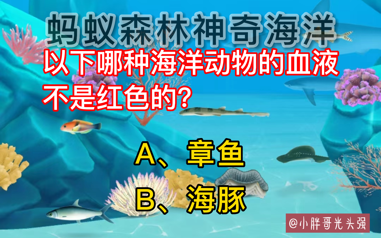 什么动物是血不是红的啊？（哪种海洋动物的血液不是红色的？蚂蚁森林神奇海洋）-第2张图片-拓城游