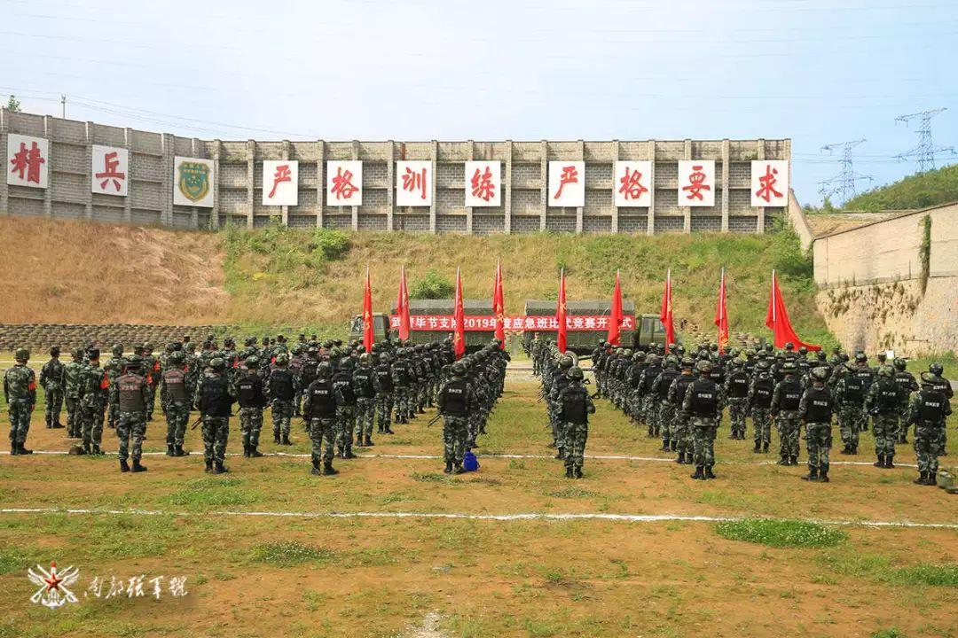 三国志战略版龙虎争霸赛规则（“龙虎争霸”，看谁才是笑到终点的最后赢家……）-第2张图片-拓城游