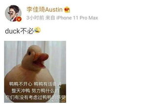 duck不必是什么梗啥意思duck不必的意思（duck不必是什么梗啥意思 duck不必怎么来的出处）