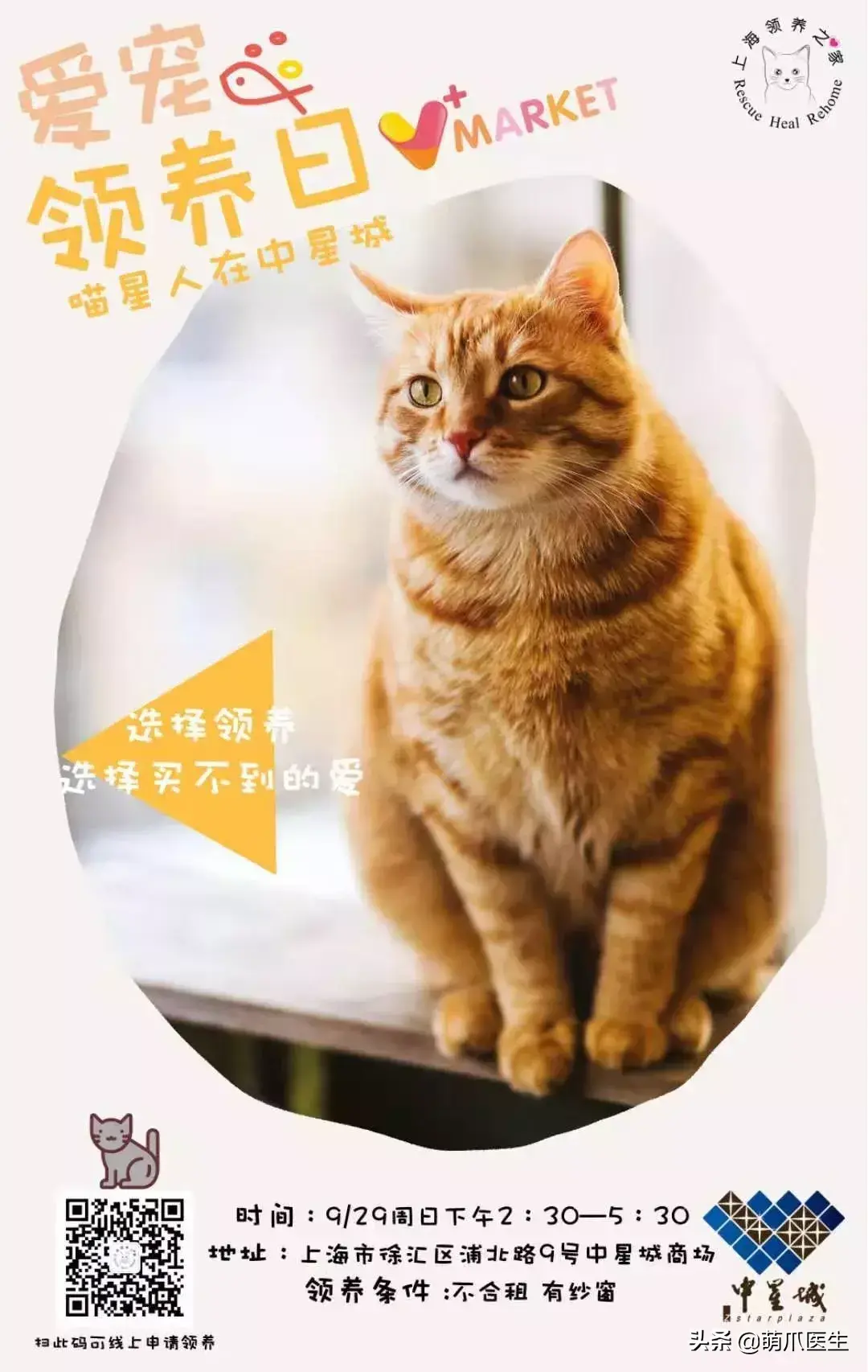 如何阻止猫咪在后院大小便 3种方法来阻止猫咪在后院大小便（准备养猫吗？教你如何辨别后院猫）-第16张图片-拓城游