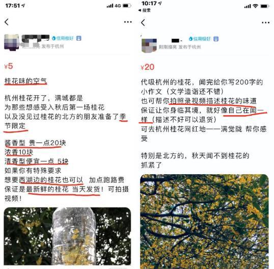 手机练打字软件app哪款好（“雪地写字只要五元”，这个钱，四川人怕是赚不到了……）-第2张图片-拓城游