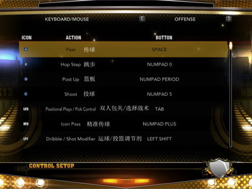 nba2k13电脑版怎么控制（没有大杯了？iQOO 13配置爆料，2K纯直屏）