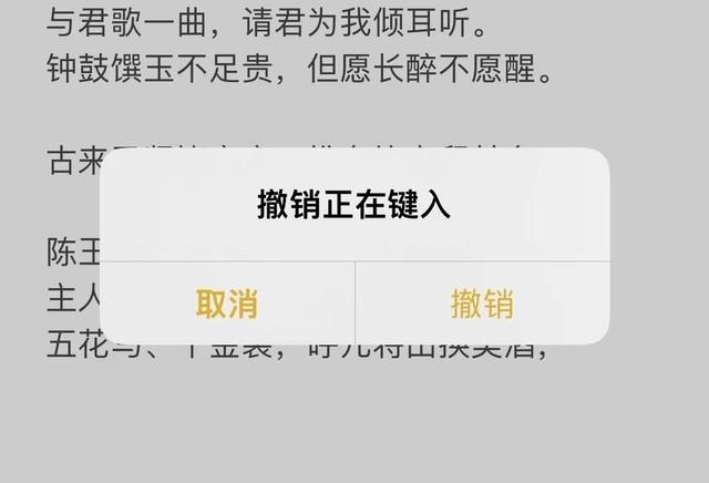 如何在苹果手机上使用搜狗输入法（5个iPhone输入法技巧，全学会打字速度快到飞起）-第8张图片-拓城游