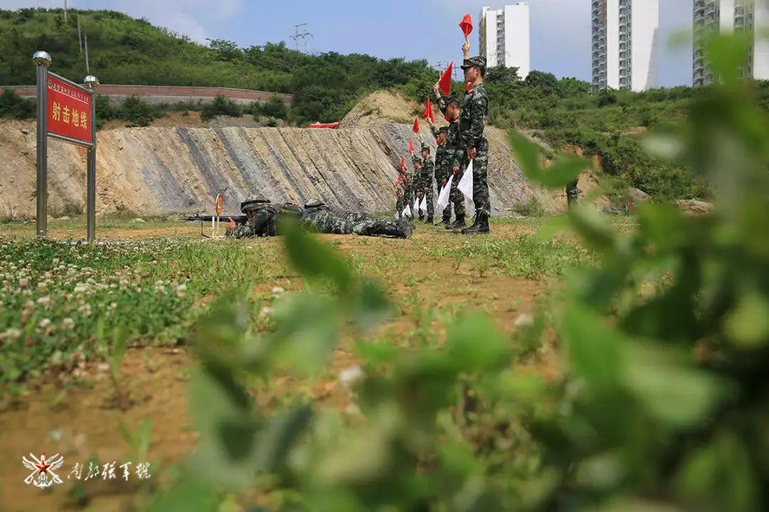 三国志战略版龙虎争霸赛规则（“龙虎争霸”，看谁才是笑到终点的最后赢家……）-第7张图片-拓城游