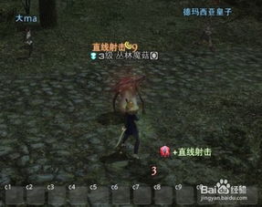 ff14讨伐笔记找不到怪（《最终幻想14》1-50级讨伐笔记：恒辉队）