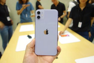 苹果11手机价格是多少？（iPhone16将发布4款机型 6499元起 旗舰价格甚超两万！）