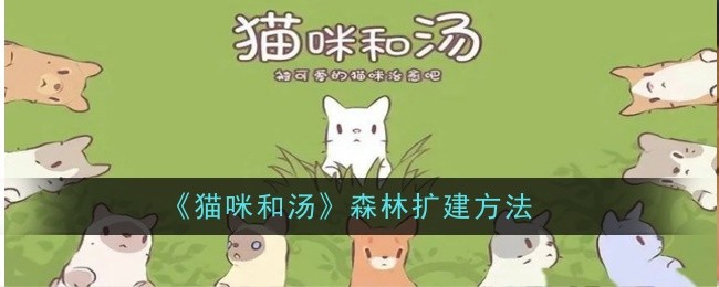 《猫咪和汤》森林扩建方法-猫咪和汤游戏攻略推荐