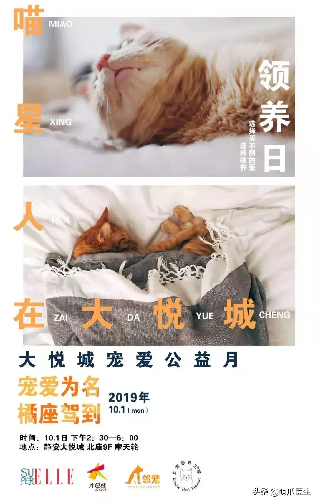 如何阻止猫咪在后院大小便 3种方法来阻止猫咪在后院大小便（准备养猫吗？教你如何辨别后院猫）-第17张图片-拓城游