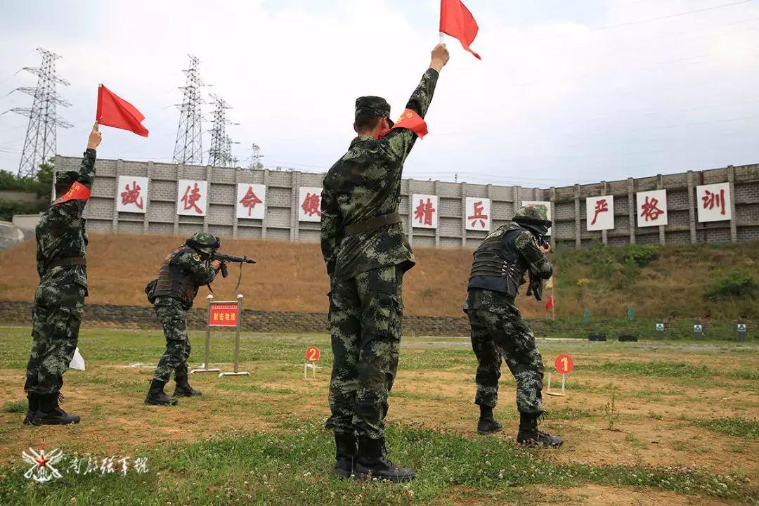 三国志战略版龙虎争霸赛规则（“龙虎争霸”，看谁才是笑到终点的最后赢家……）-第4张图片-拓城游