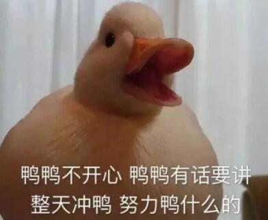 duck不必是什么梗啥意思duck不必的意思（duck不必是什么梗啥意思 duck不必怎么来的出处）-第2张图片-拓城游