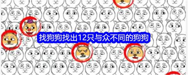 《就我眼神好》找狗狗找出12只与众不同的狗狗通关攻略-就我眼神好游戏攻略推荐