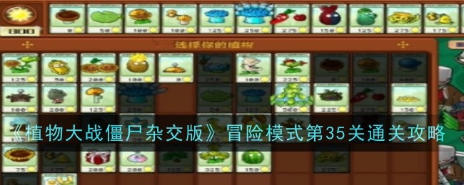 《植物大战僵尸杂交版》冒险模式第35关通关攻略-植物大战僵尸杂交版游戏攻略推荐