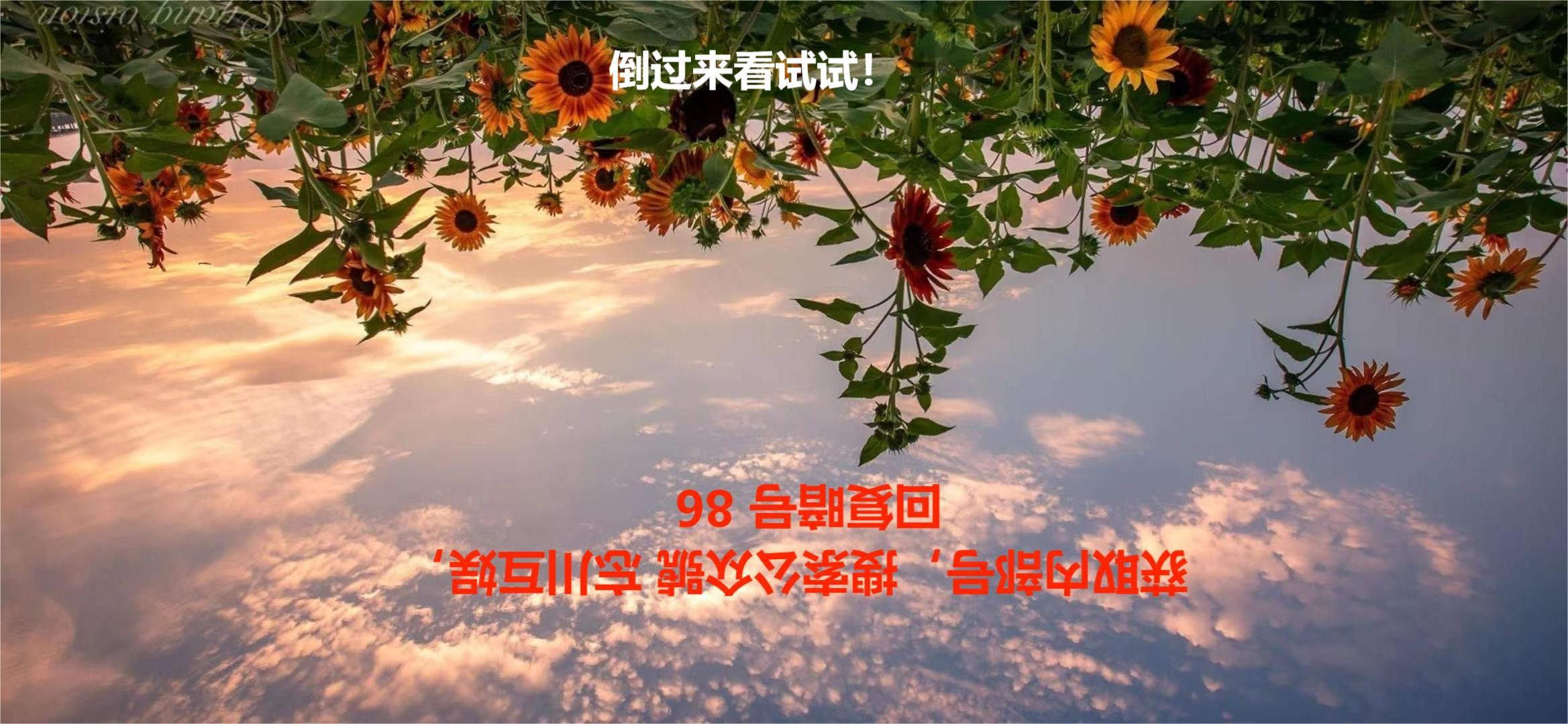 暗天使是什么意思?（《决胜巅峰》暗天使怎么玩 暗天使技能技巧介绍攻略！大佬教学！）-第4张图片-拓城游