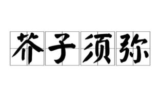 芥子空间改成什么了（光遇：芥子空间被查？多个光遇版本下架，查询不到信息）