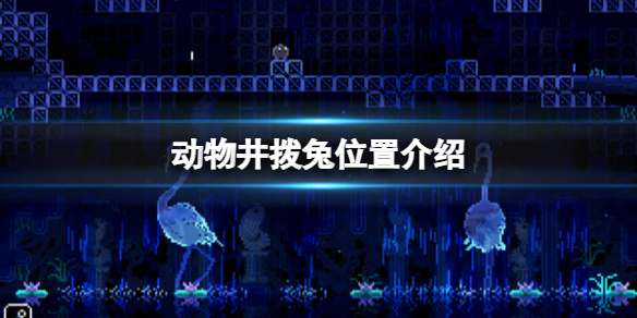 《动物井》拨兔位置介绍-动物井游戏攻略推荐