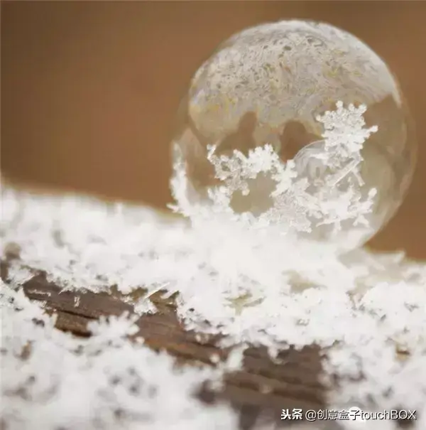 打雪仗游戏规则是什么（这几个雪地游戏，比打雪仗好玩儿多了）-第30张图片-拓城游