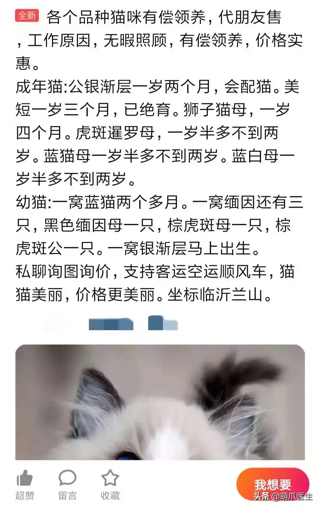 如何阻止猫咪在后院大小便 3种方法来阻止猫咪在后院大小便（准备养猫吗？教你如何辨别后院猫）-第10张图片-拓城游