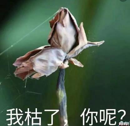 lol游戏人工客服电话（史上最头铁玩家！向LOL客服投诉被无视，怒放大招后腾讯直接认怂）-第18张图片-拓城游