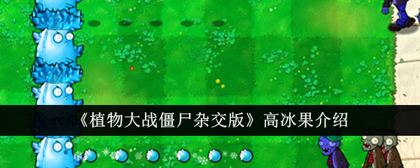 《植物大战僵尸杂交版》高冰果介绍-植物大战僵尸杂交版游戏攻略推荐