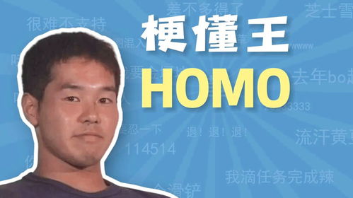 homo是什么网络梗（英语前缀 homo）