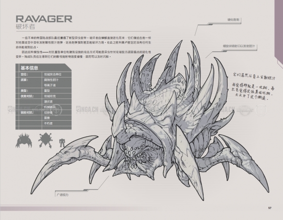 《星际争霸2》兵种图鉴一览-星际争霸2游戏攻略推荐-第19张图片-拓城游