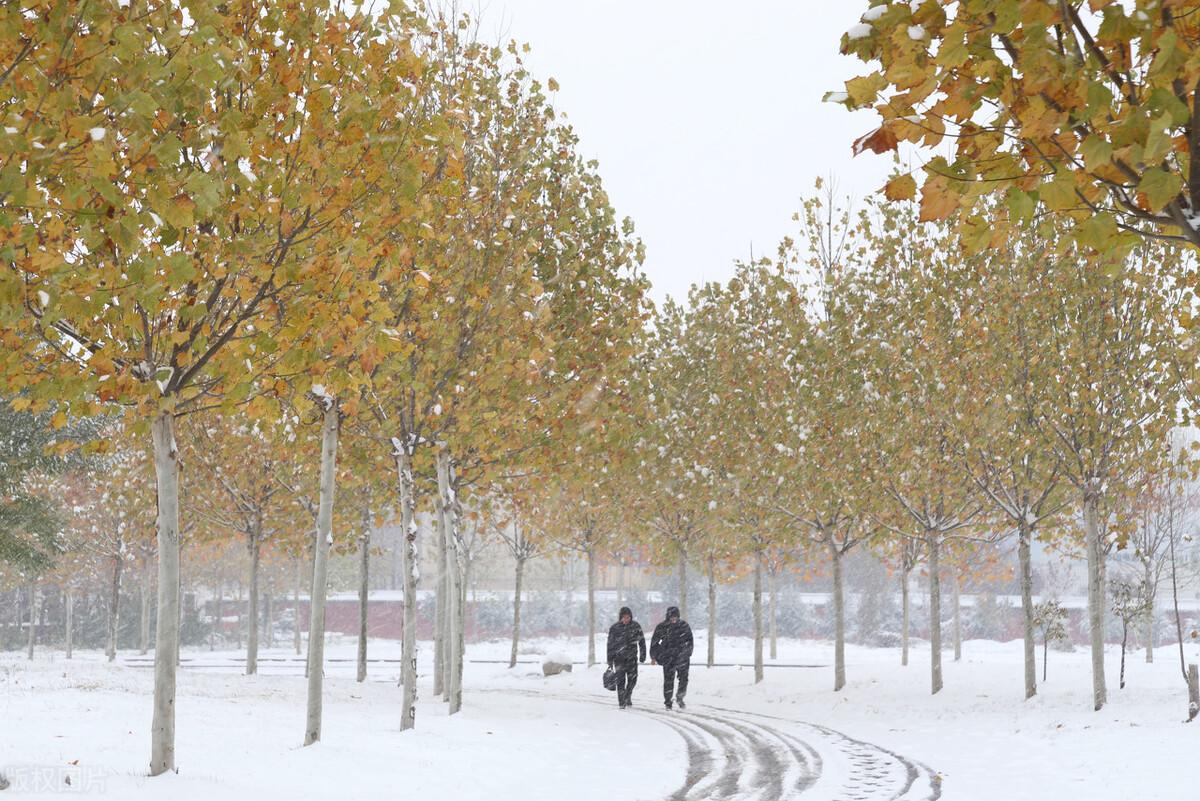 民谚大雪小雪煮饭不歇是什么意思（农村谚语“大雪小雪，煮饭不歇”）-第2张图片-拓城游