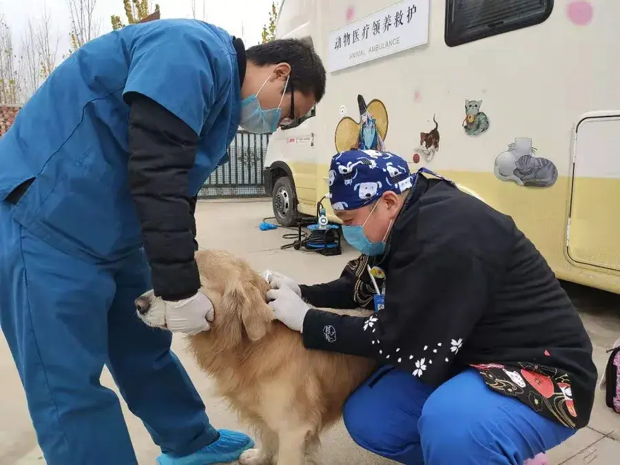 阴阳师守护的契约召唤活动介绍（从《阴阳师》“守护的契约”，看游戏赋能公益优越性）-第16张图片-拓城游