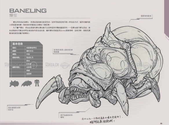 《星际争霸2》兵种图鉴一览-星际争霸2游戏攻略推荐-第8张图片-拓城游