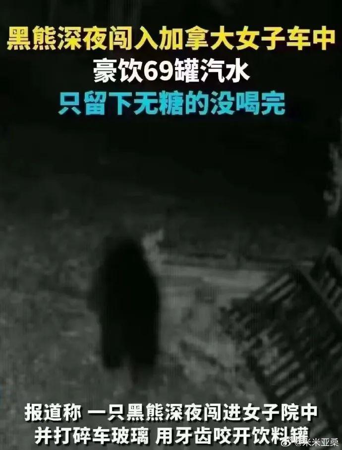 如何利用道具和技巧在《神庙逃亡》中挑战最高分？（00后的简历主打一个真诚 | 冷段子2616 &amp; 去年今日2259）-第5张图片-拓城游