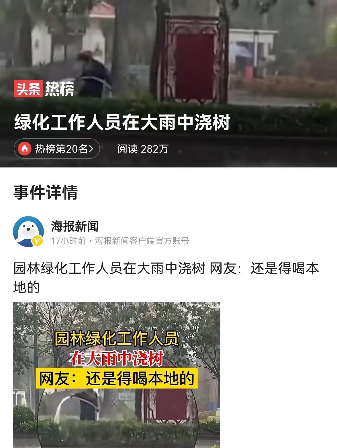 绿化工作人员雨天给大树浇水 竟是我们无知了（绿化员工雨天给大树浇水引热议：真相未明前不要急于批判）-第2张图片-拓城游