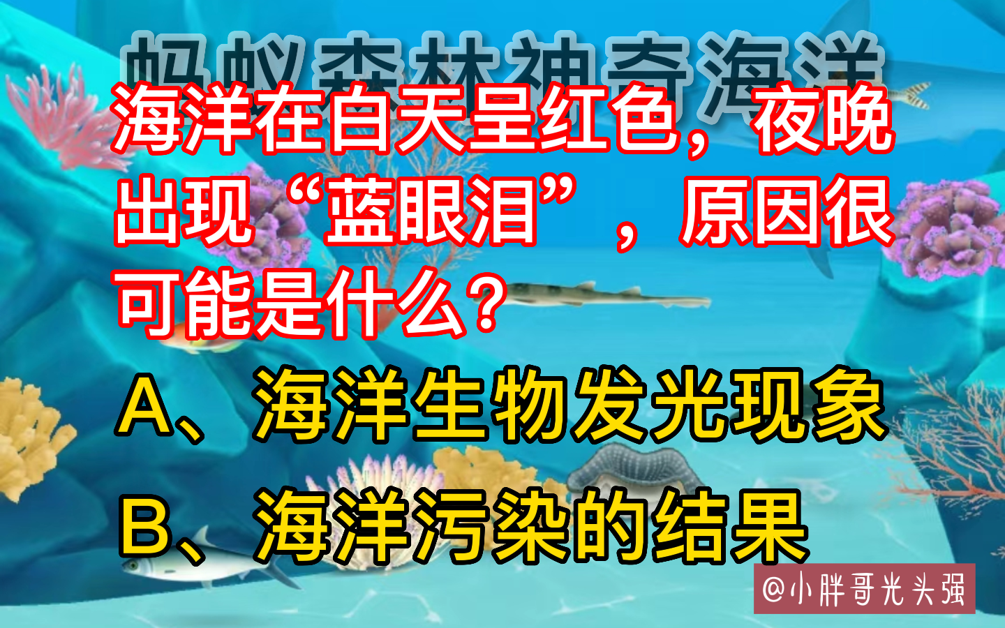 支付宝神奇海洋今日答案分享8.8-蓝色的眼泪是什么（海洋在白天呈红色，夜晚出现“蓝眼泪”，原因可能是？神奇海洋）-第2张图片-拓城游