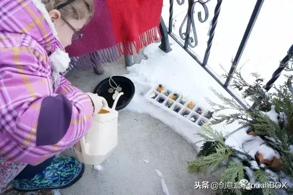 打雪仗游戏规则是什么（这几个雪地游戏，比打雪仗好玩儿多了）-第57张图片-拓城游