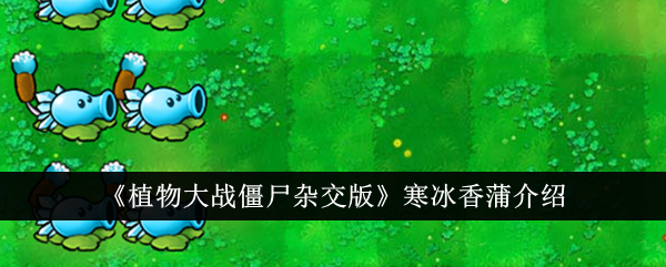 《植物大战僵尸杂交版》寒冰香蒲介绍-植物大战僵尸杂交版游戏攻略推荐