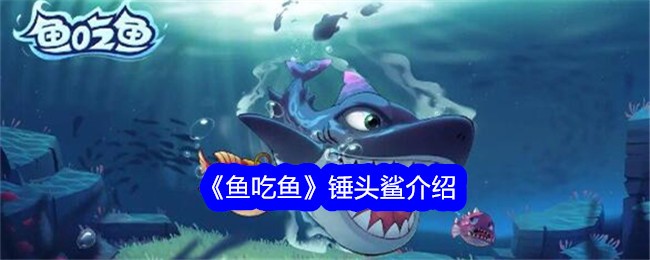 《鱼吃鱼》锤头鲨介绍-鱼吃鱼游戏攻略推荐