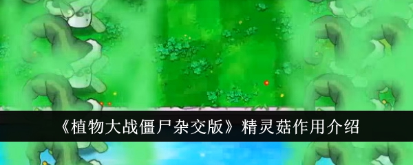 《植物大战僵尸杂交版》精灵菇作用介绍-植物大战僵尸杂交版游戏攻略推荐