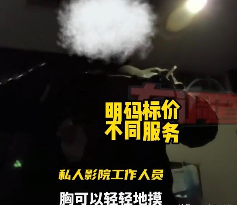 晚上一个人在线看b站不付费会怎么样（记者暗访私人影院！老板称：学生妹陪侍！一个钟369元，3个钟带走）-第7张图片-拓城游