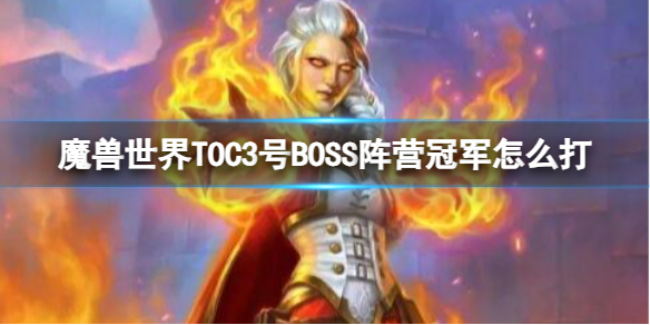 《魔兽世界》TOC3号BOSS阵营冠军打法攻略-魔兽世界游戏攻略推荐