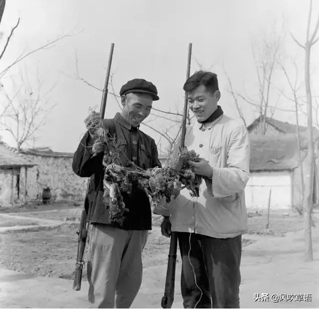 小鸟爆破2有几种模式呢？（旧事重提：疯狂的小鸟，1958年的全民狂热”打家雀”记忆）-第5张图片-拓城游