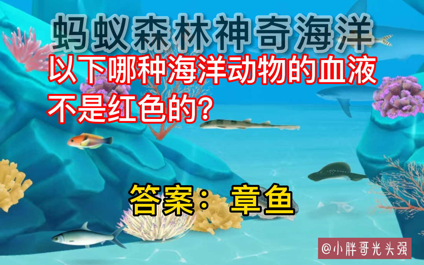 什么动物是血不是红的啊？（哪种海洋动物的血液不是红色的？蚂蚁森林神奇海洋）-第4张图片-拓城游