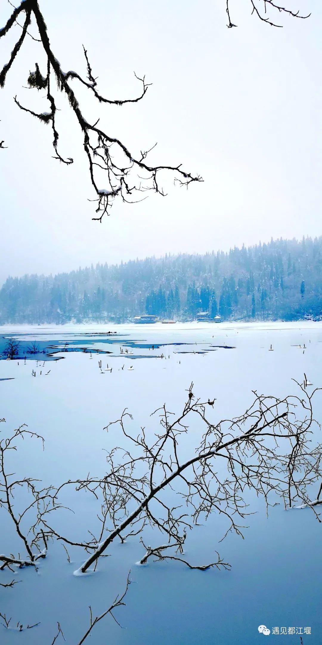 云之秘境手镯在哪买（云赏景 | 都江堰这个秘境里的雪，看一眼便怦然心动~）-第5张图片-拓城游