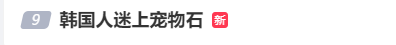 宠物石的介绍（“就像和你的狗说话！”韩国人流行将小石块当作宠物饲养的“宠物石”）-第2张图片-拓城游