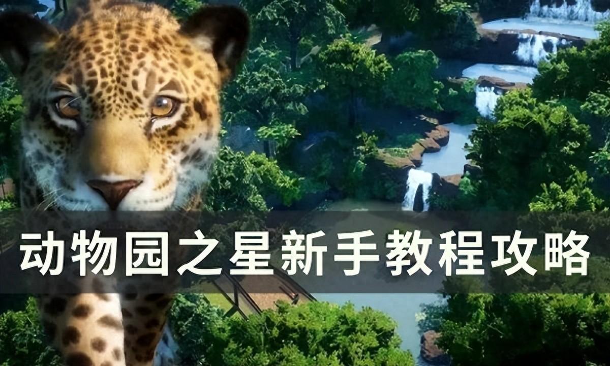 动物园之星怎么开园（《动物园之星》新手玩什么模式 新手教程攻略）-第2张图片-拓城游