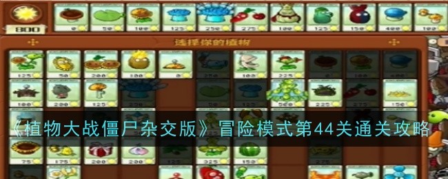 《植物大战僵尸杂交版》冒险模式第44关通关攻略-植物大战僵尸杂交版游戏攻略推荐