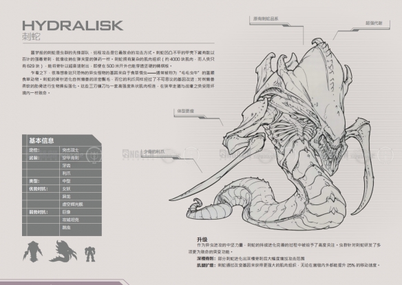 《星际争霸2》兵种图鉴一览-星际争霸2游戏攻略推荐-第2张图片-拓城游