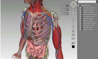 bodyvisualizer怎么用（7个维度模拟出你的3d身材，这是什么神仙操作？）