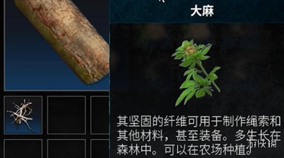 《颂钟长鸣》绳子获取方法-颂钟长鸣游戏攻略推荐-第2张图片-拓城游