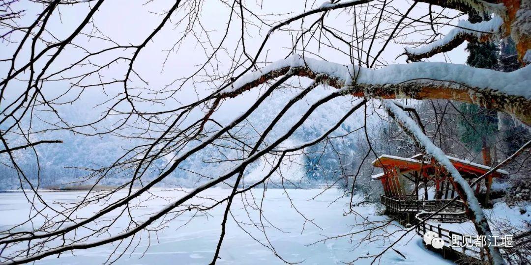 云之秘境手镯在哪买（云赏景 | 都江堰这个秘境里的雪，看一眼便怦然心动~）-第9张图片-拓城游