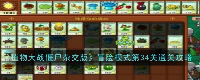 《植物大战僵尸杂交版》冒险模式第34关通关攻略-植物大战僵尸杂交版游戏攻略推荐