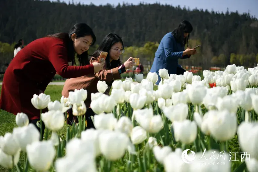 花花连连看的游戏简介（春天发来邀请函！）-第9张图片-拓城游