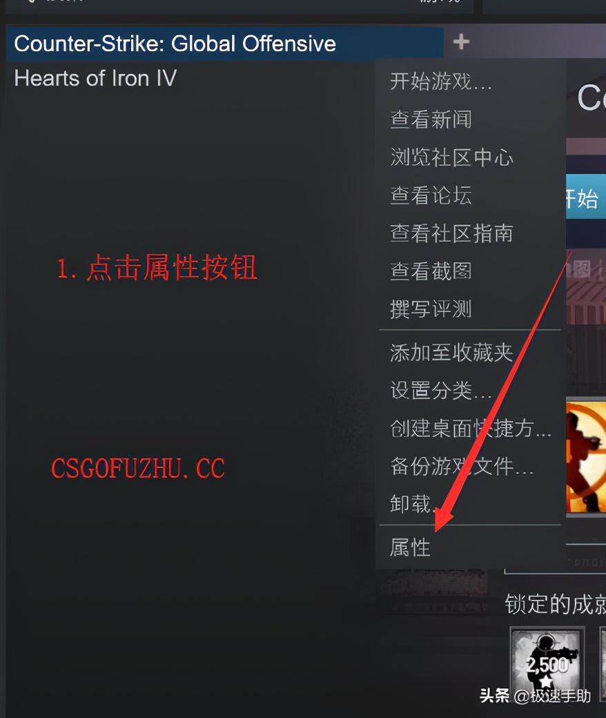 csgo国服启动项怎么设置（csgo国服启动项在哪设置？国际服与国服启动项自由切换）-第4张图片-拓城游